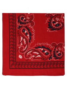 Large Cotton Handkerchief - Paisley - Red with Navy