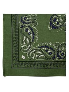 Large Cotton Handkerchief - Paisley - Green with Navy